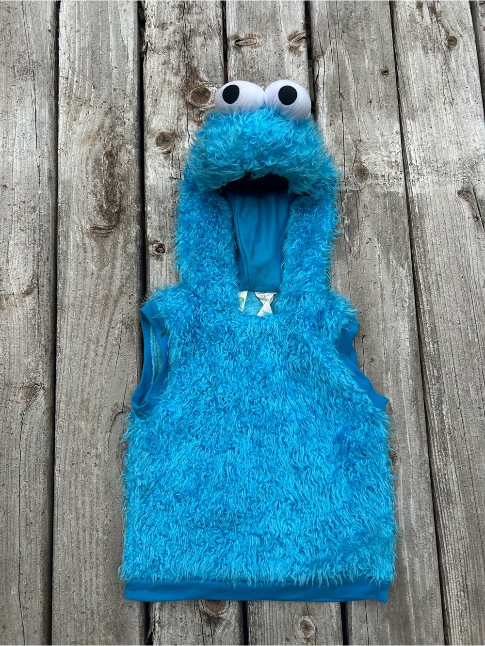 Cookie Monster Costume 3T-4T